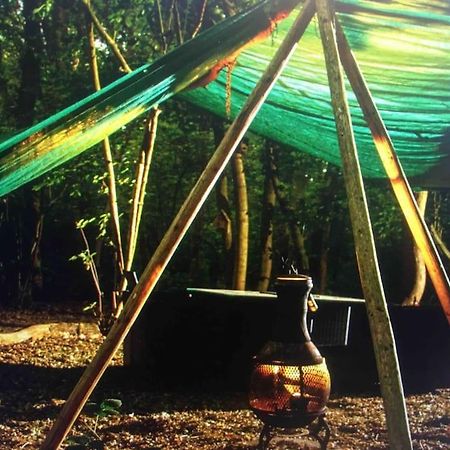 Magical Forest Yurt Sturry Exterior foto