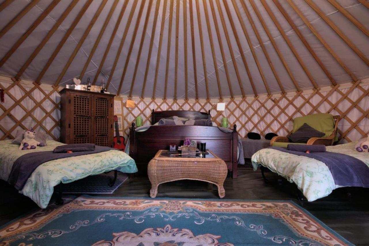 Magical Forest Yurt Sturry Exterior foto