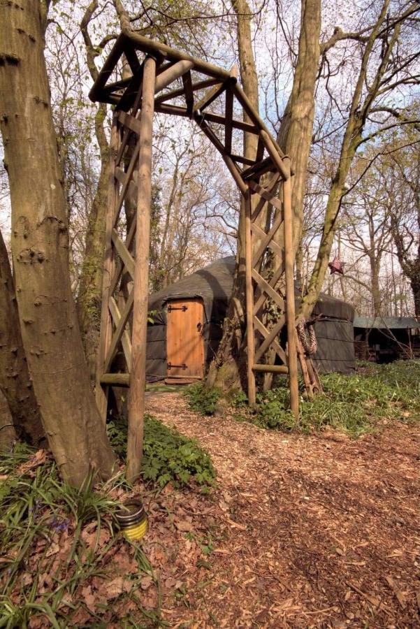 Magical Forest Yurt Sturry Exterior foto