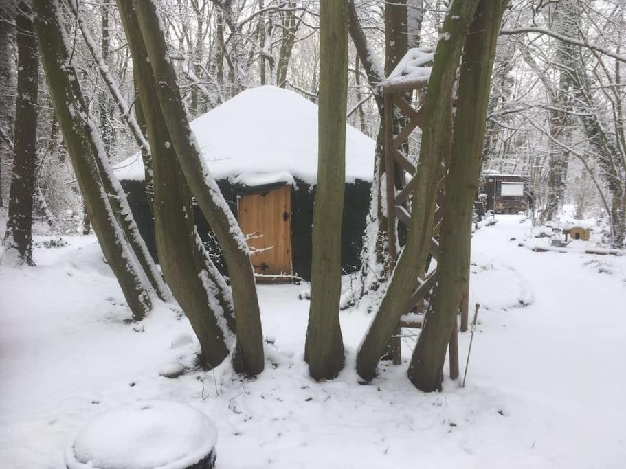 Magical Forest Yurt Sturry Exterior foto