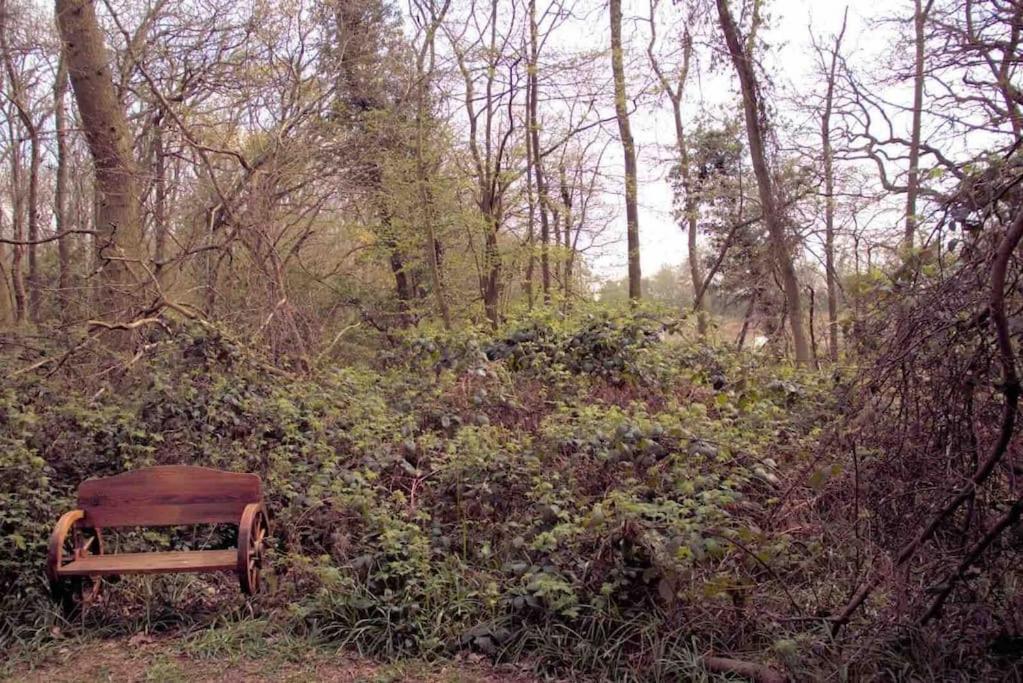 Magical Forest Yurt Sturry Exterior foto