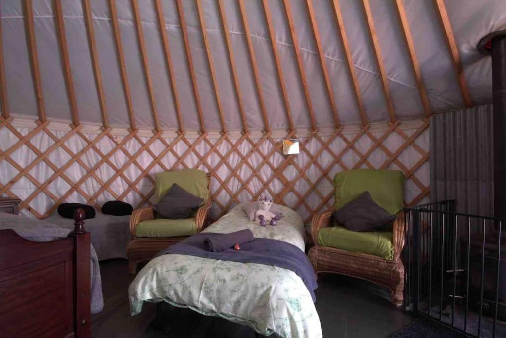 Magical Forest Yurt Sturry Exterior foto