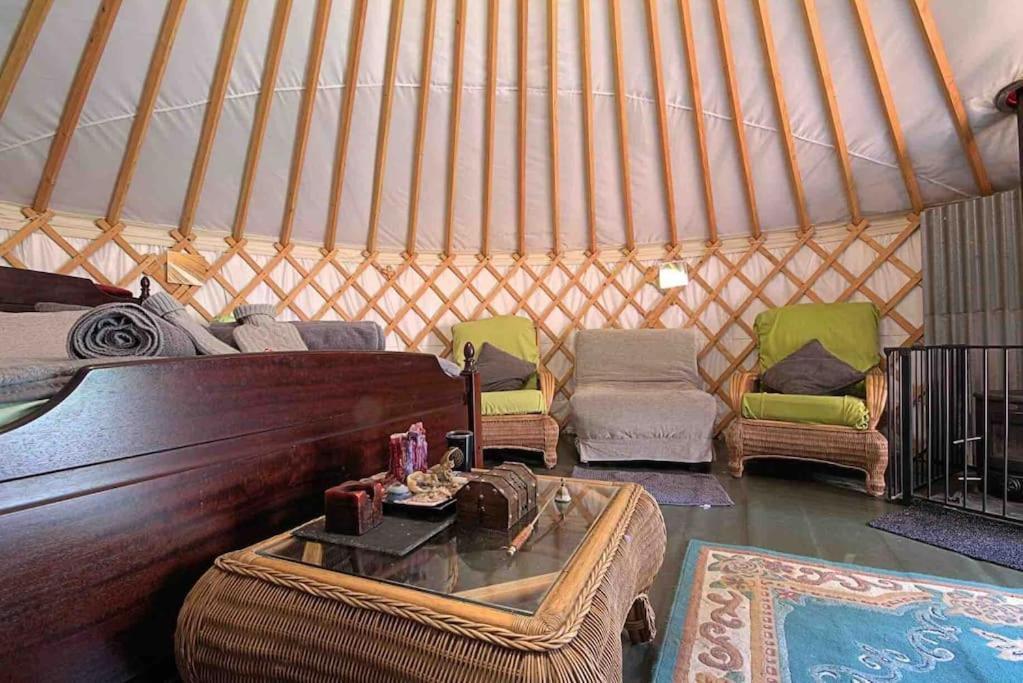 Magical Forest Yurt Sturry Exterior foto